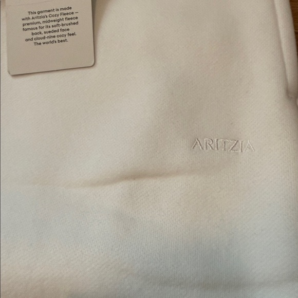 Aritzia Womens Mega Sweatfleece Cargo Joggers - Picture 2 of 8